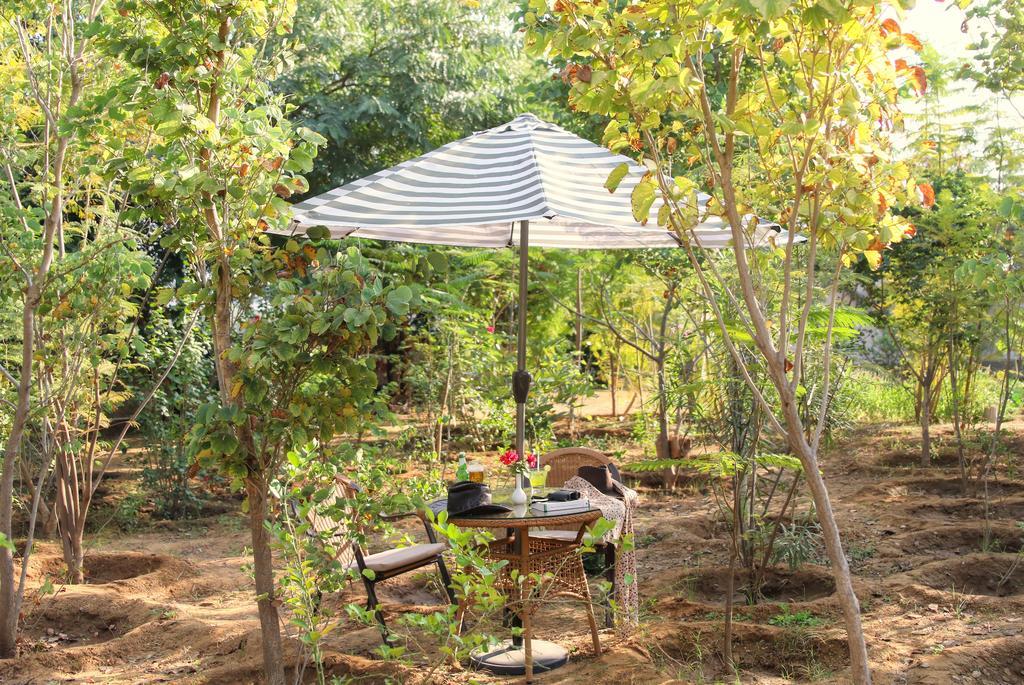 Ranthambhore Kothi Sawai Madhopur Extérieur photo